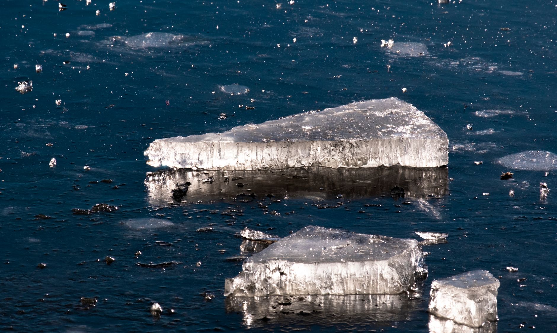 Costa fredda e innevata