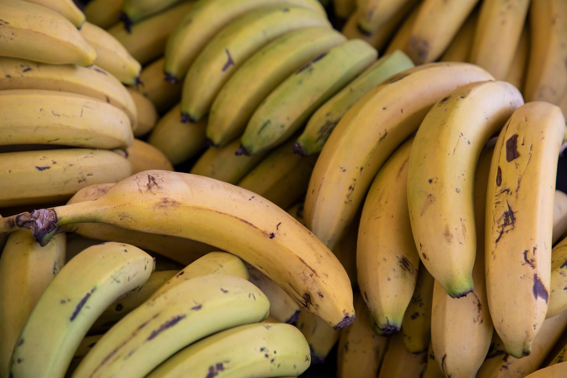 Banane appese in un mercato