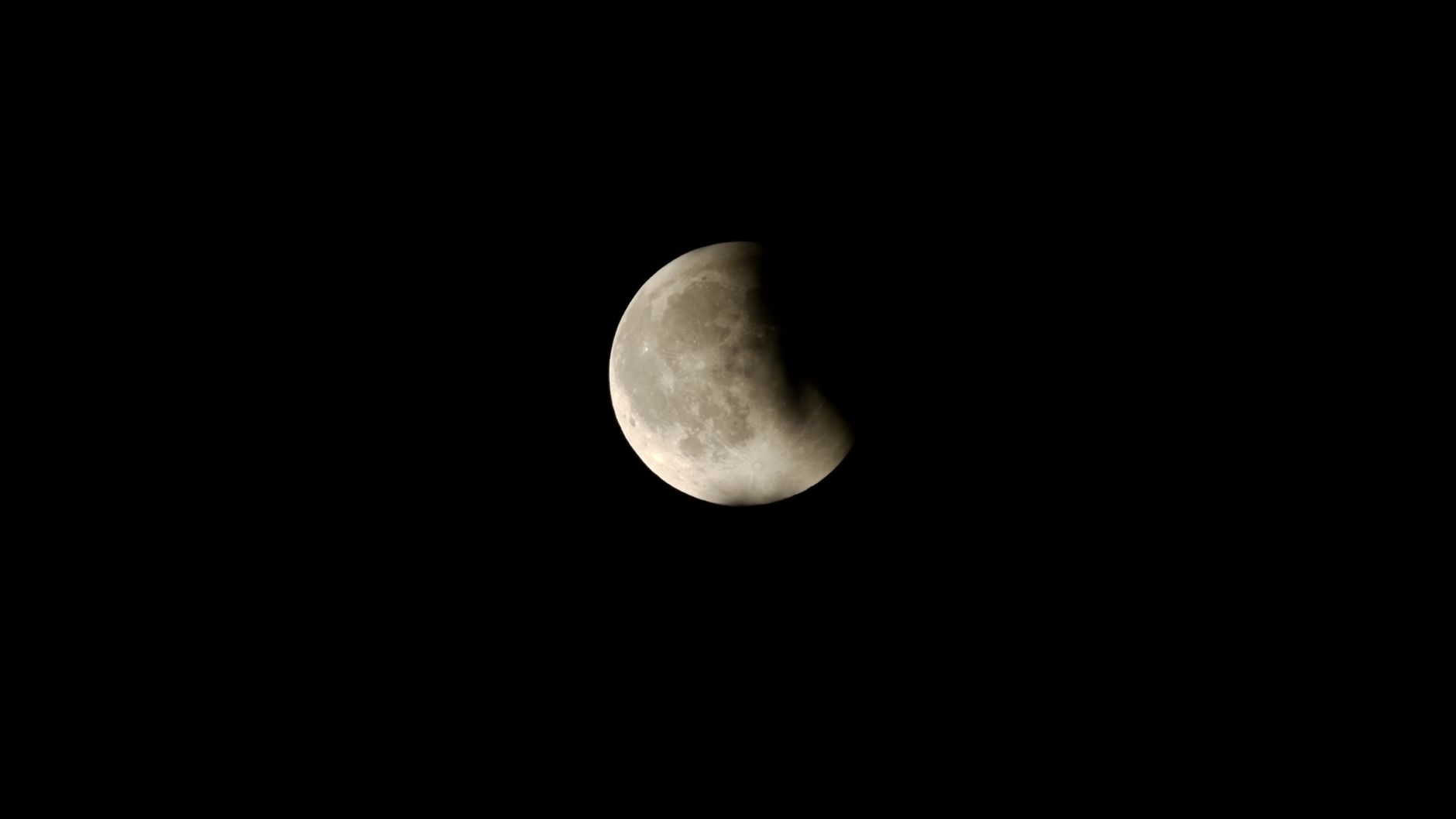 Persone osservano il cielo durante un'eclissi