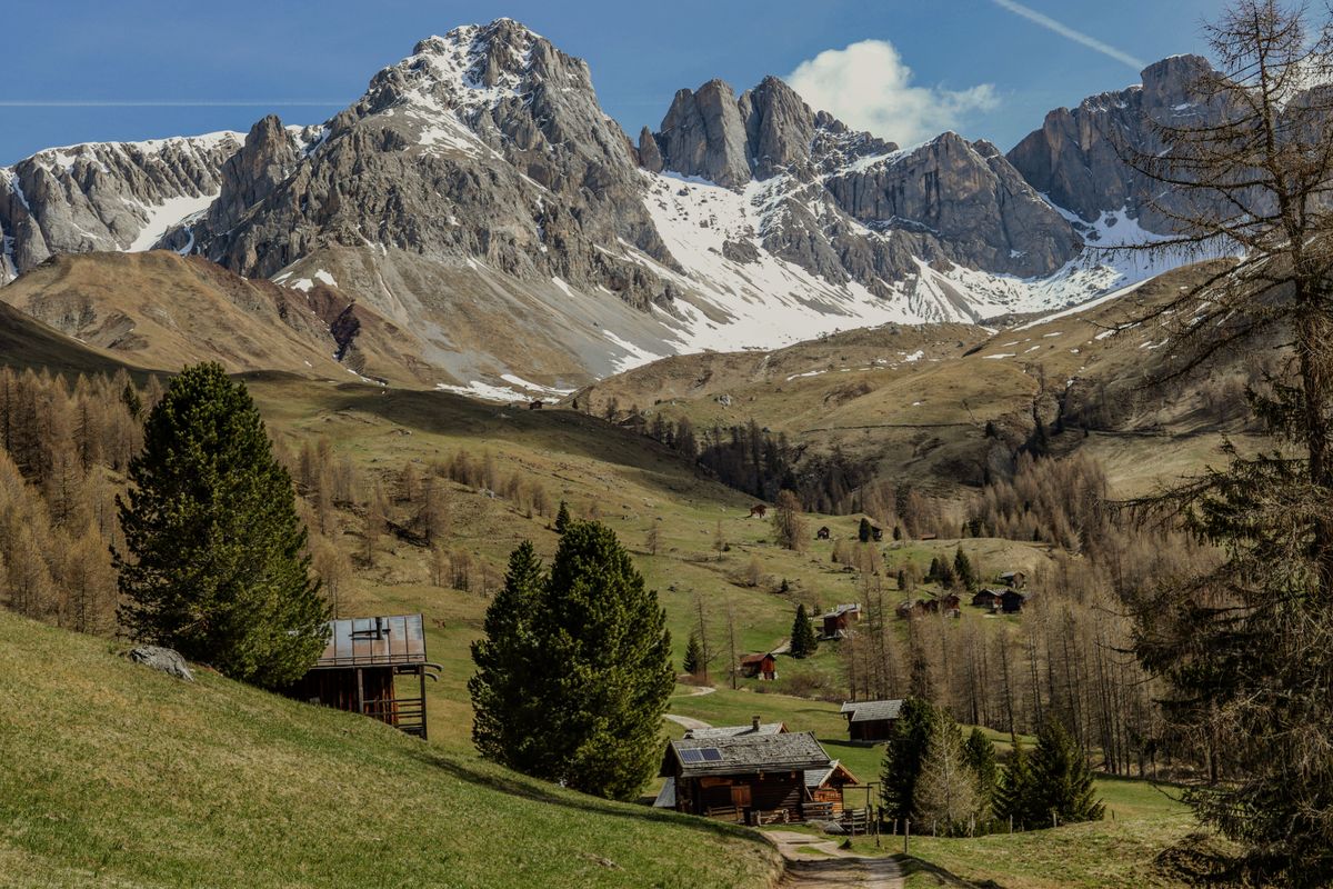 Tavolata di una sagra di paese italiana