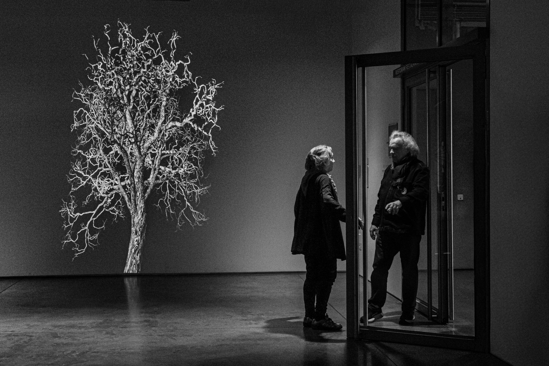 Visitatori in una mostra fotografica in una galleria d'arte
