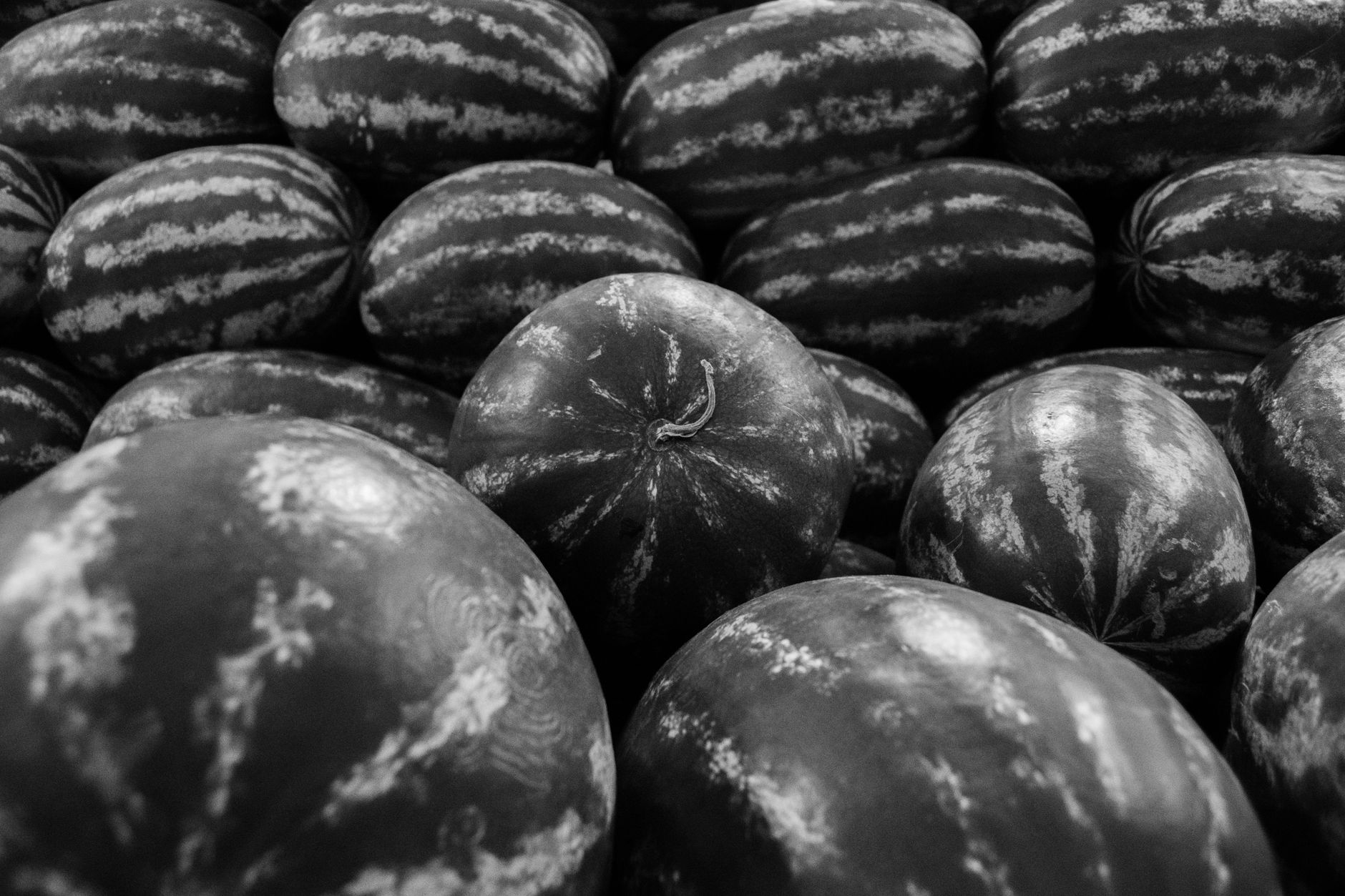 Primo piano di una fetta di anguria con i semi
