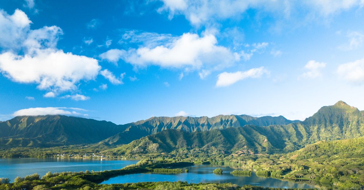 Spiaggia tropicale delle Hawaii con palme