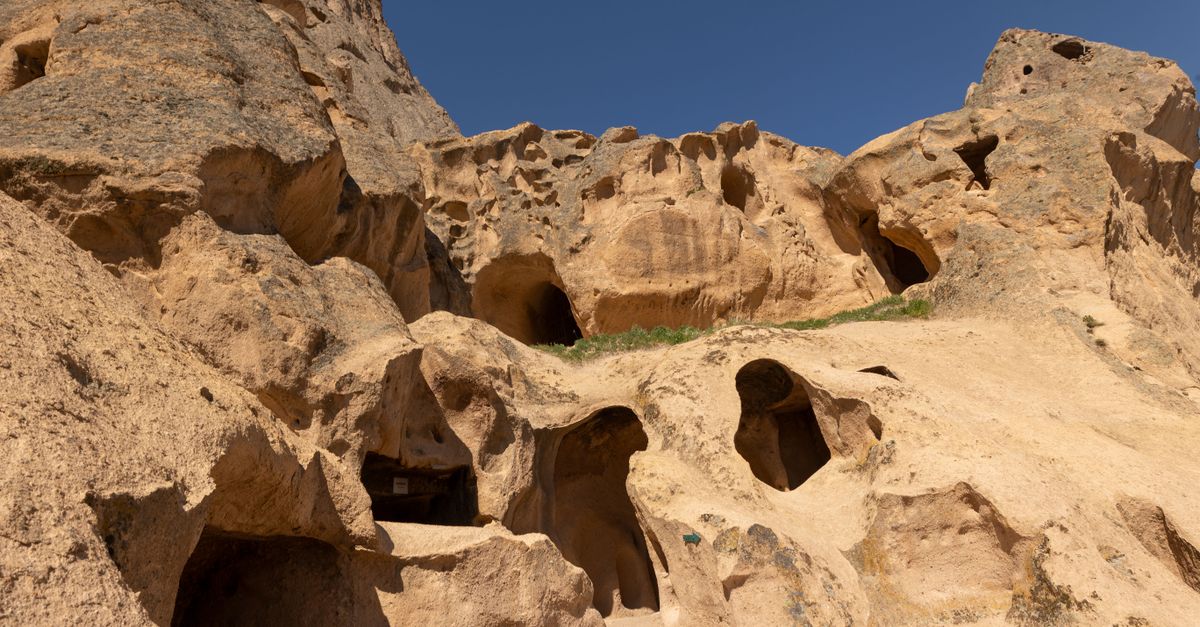 Scavo paleontologico alla ricerca di fossili