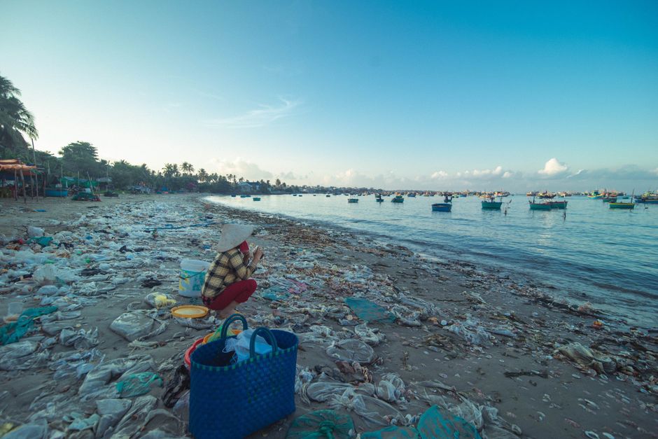 Microplastiche nel cervello: cosa dice la scienza