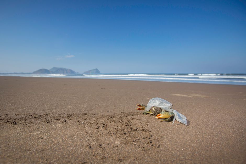 Le microplastiche derivano dalla degradazione degli oggetti in plastica.