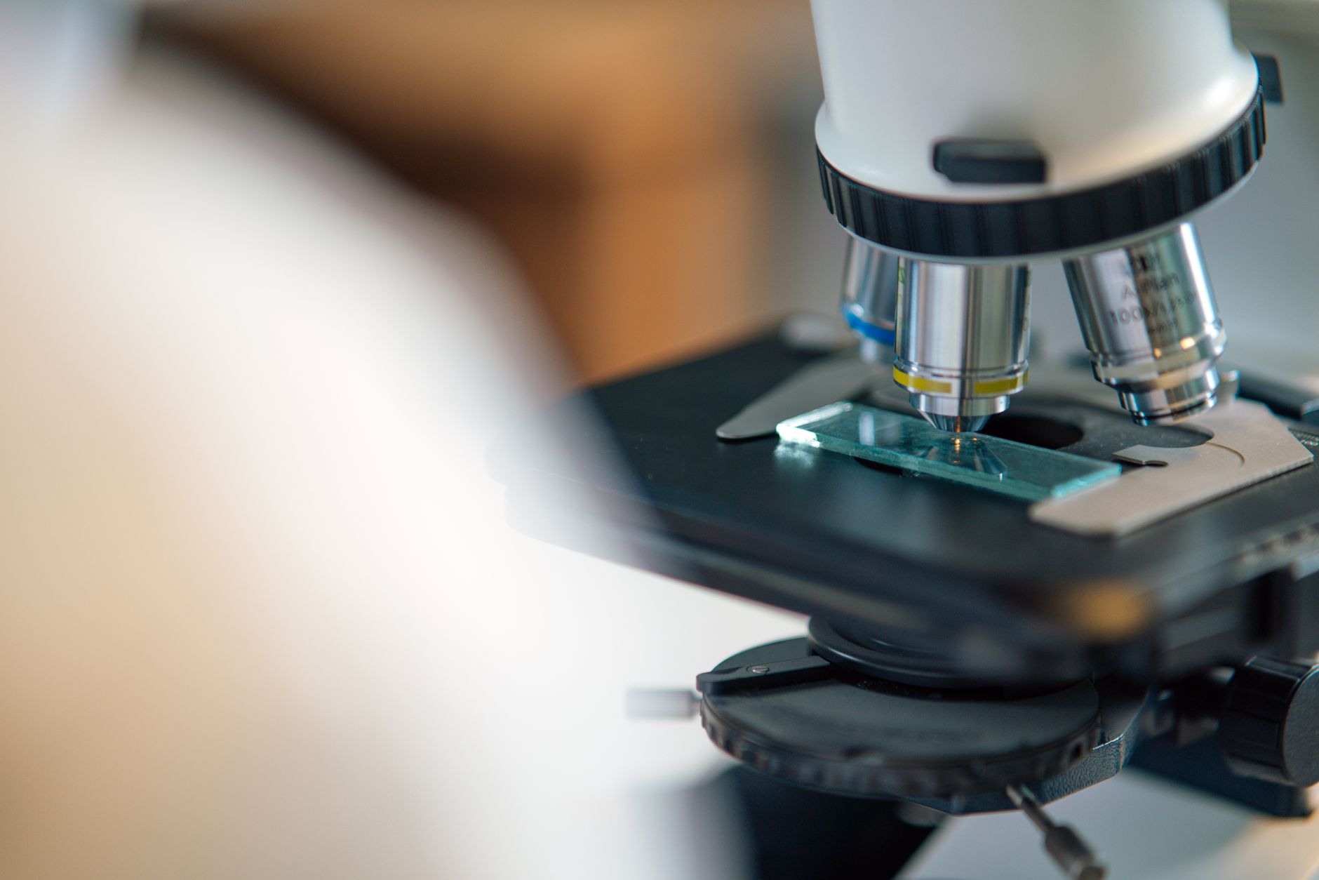 Analisi di campioni al microscopio