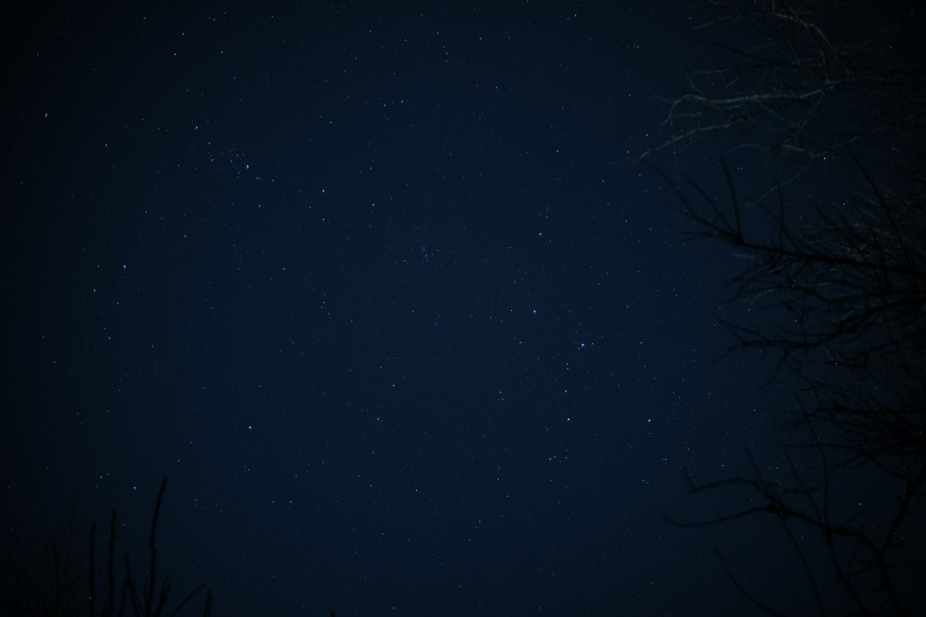 Notte stellata con costellazioni luminose sopra l'orizzonte