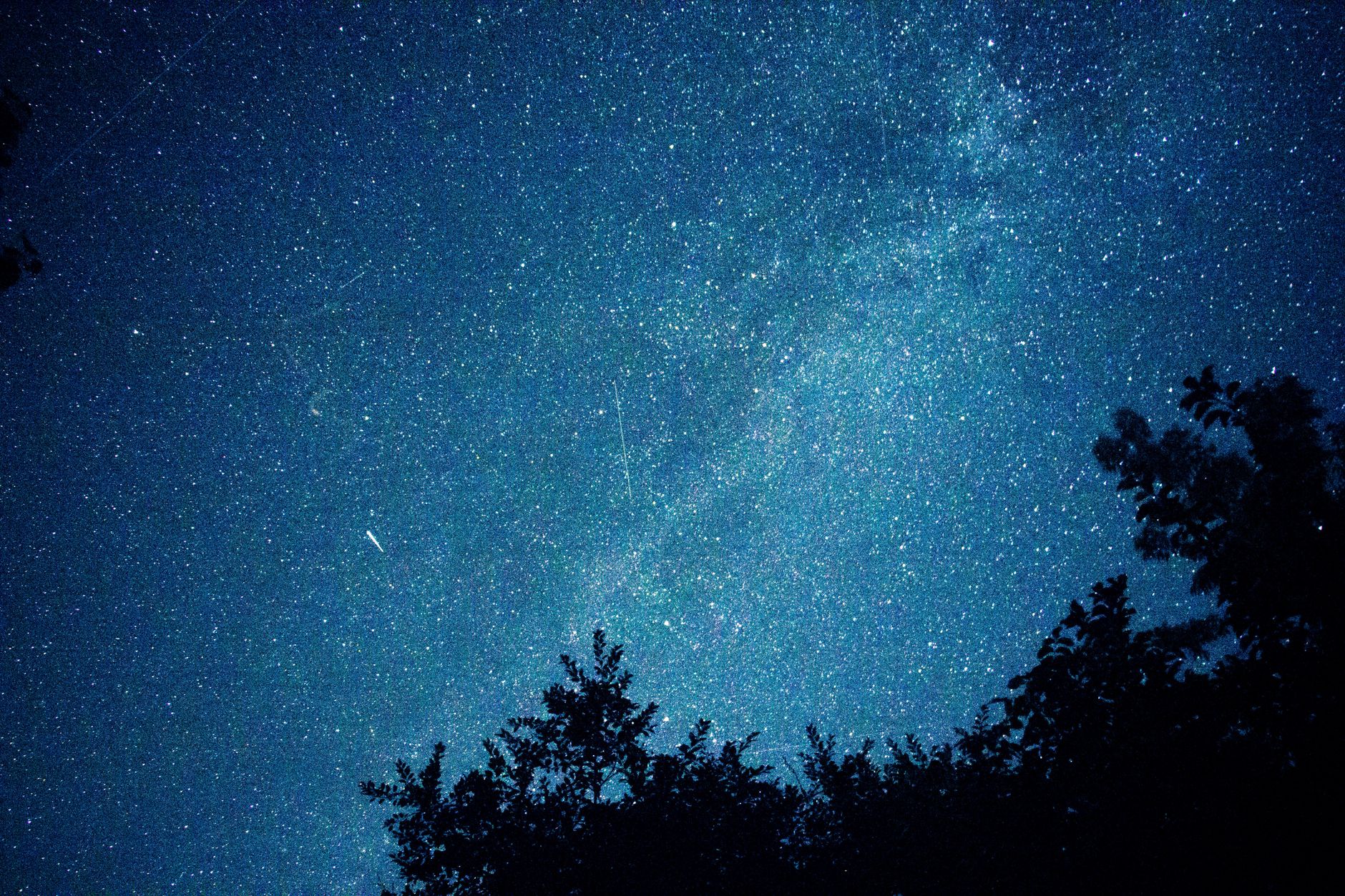 Notte serena con stelle sopra l'orizzonte