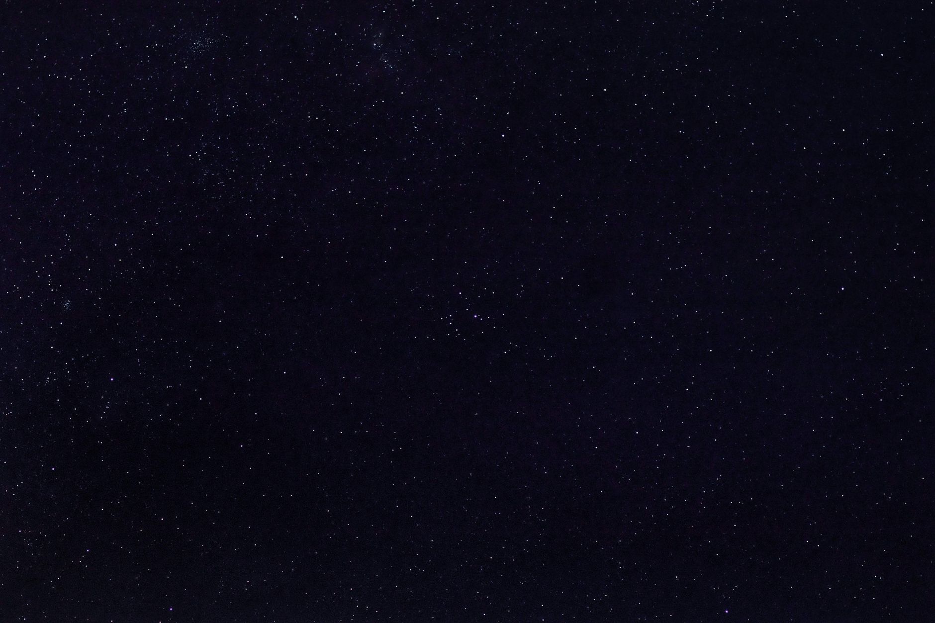 Stelle luminose nella notte estiva