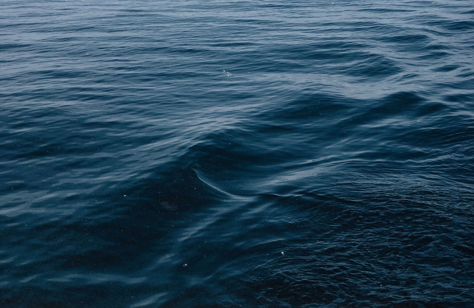 Perché il mare è salato: la scienza dietro gli oceani