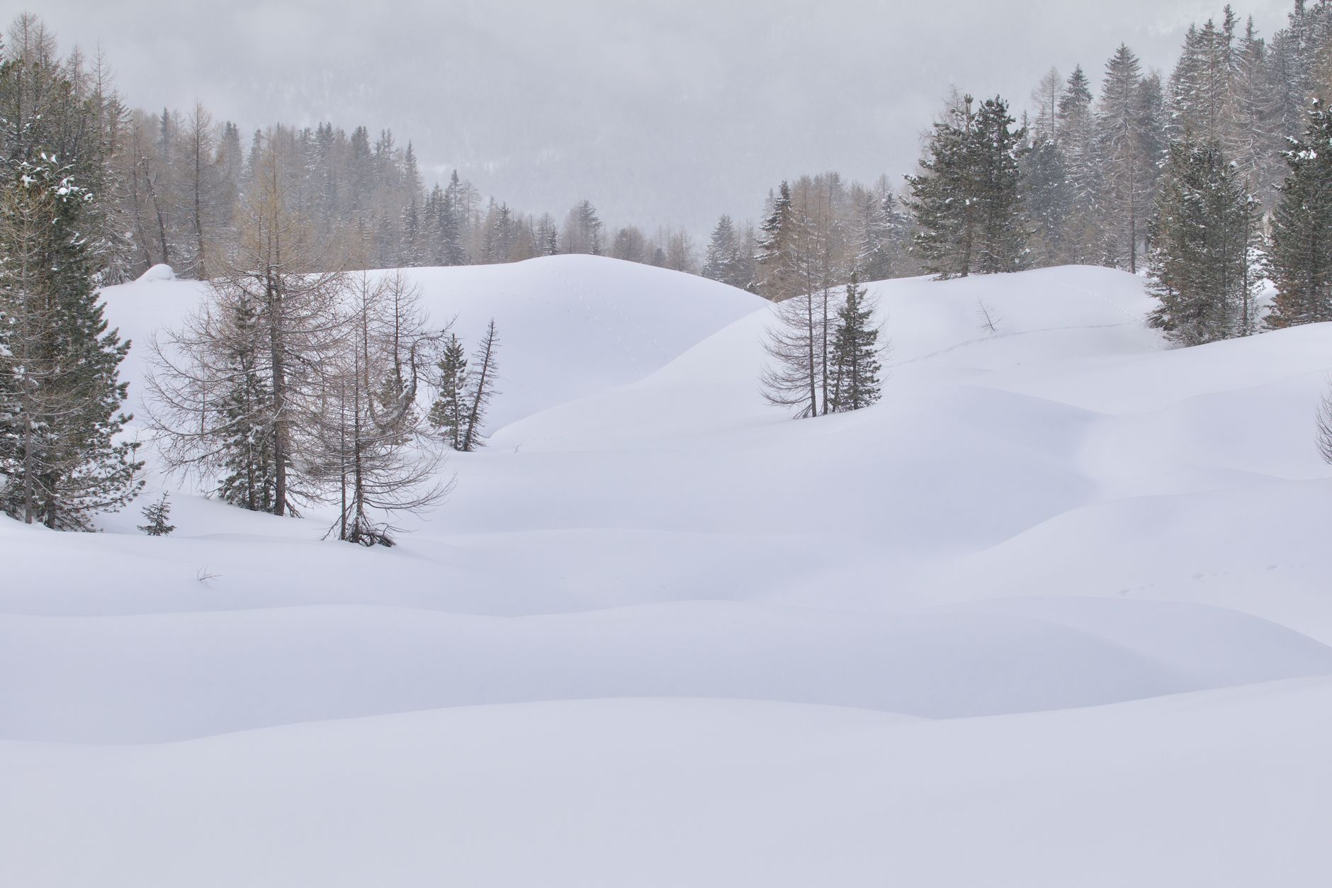 Distesa di neve bianca illuminata dal sole in un paesaggio invernale