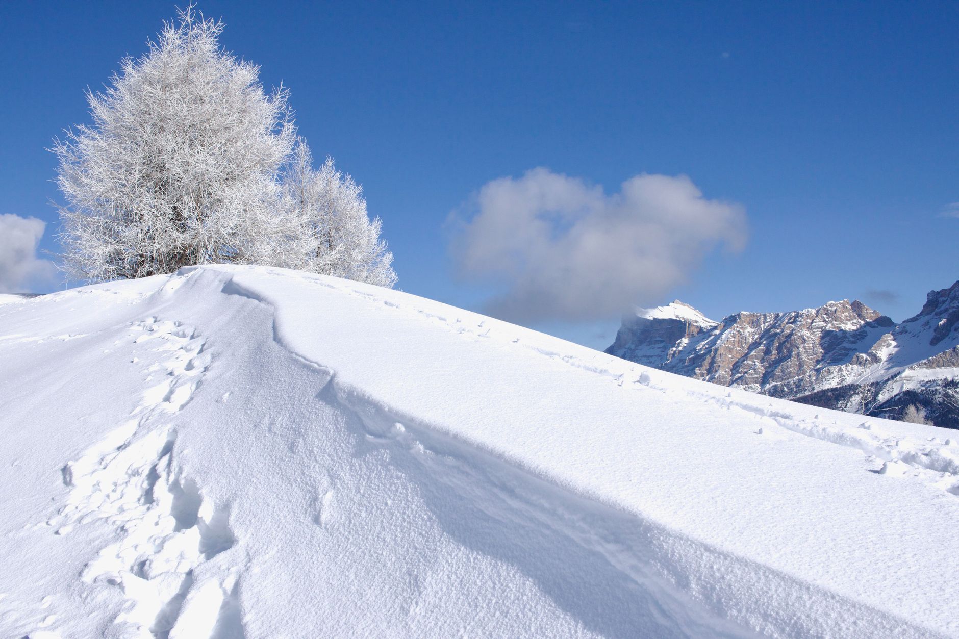 Cristalli di neve visti da vicino su una superficie scura
