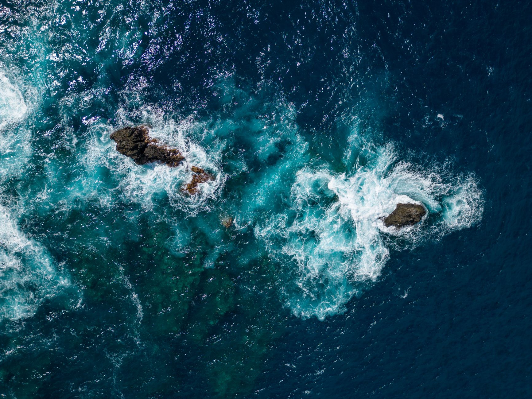 Il pesce goccia in un ambiente marino profondo