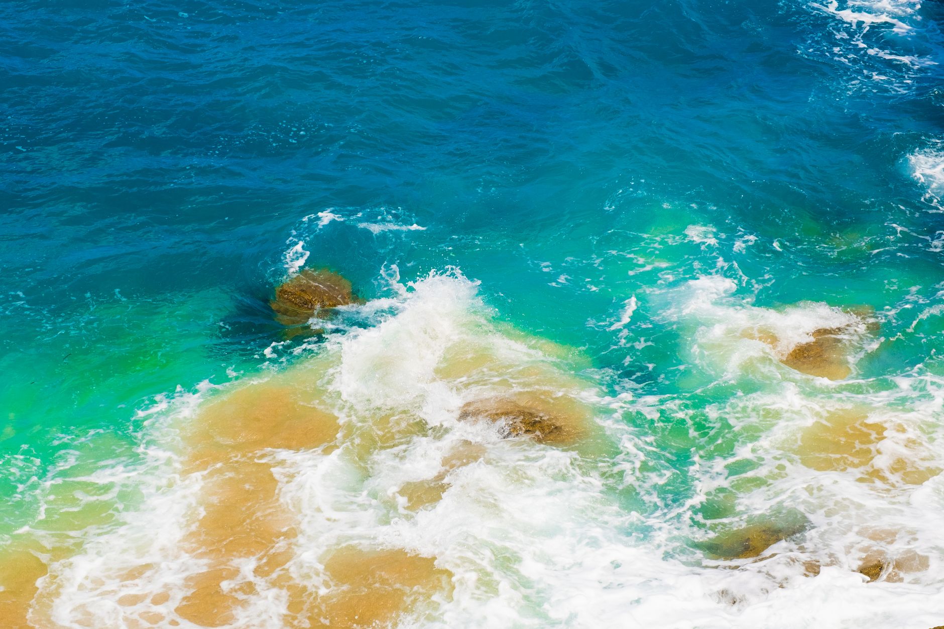 Fondale oceanico profondo e buio, habitat del pesce goccia