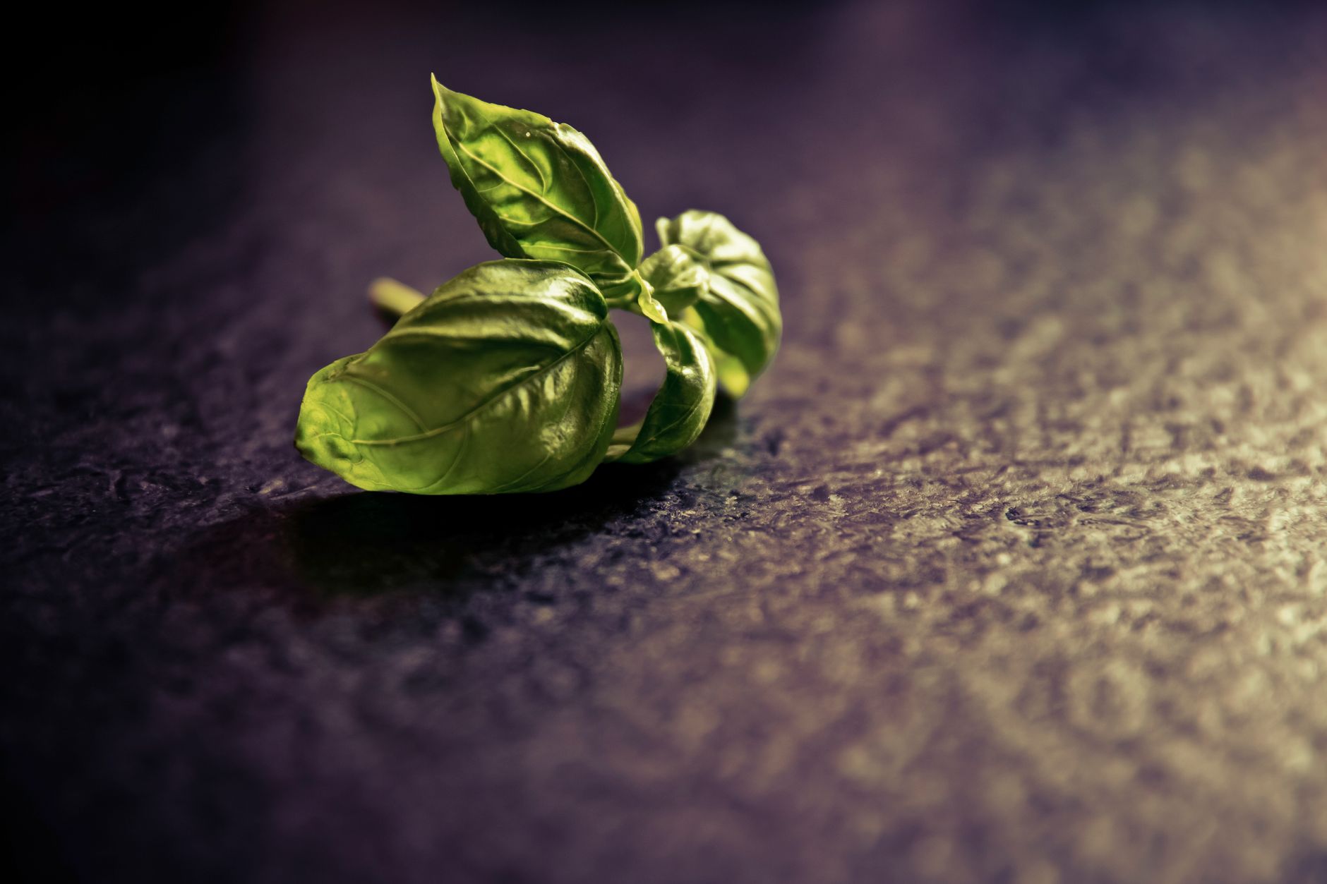 Mortaio con basilico e pestello per preparare il pesto
