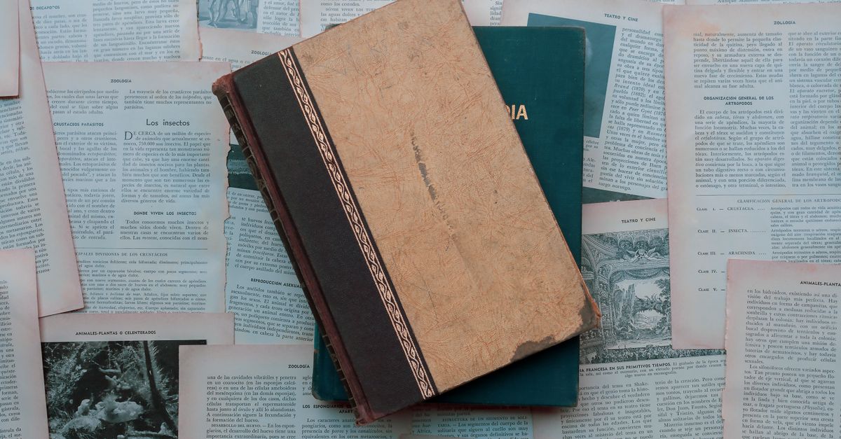 Libro aperto illuminato da una luce calda