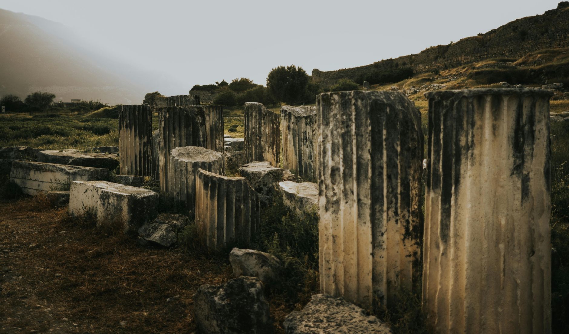 Rovine storiche con vegetazione tra i resti