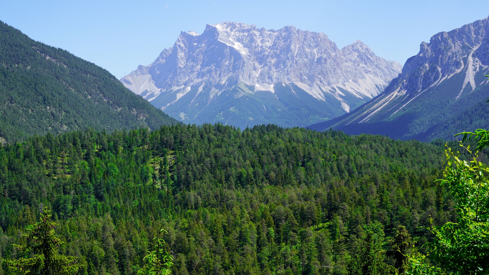 Paesaggio delle Alpi con boschi e vette