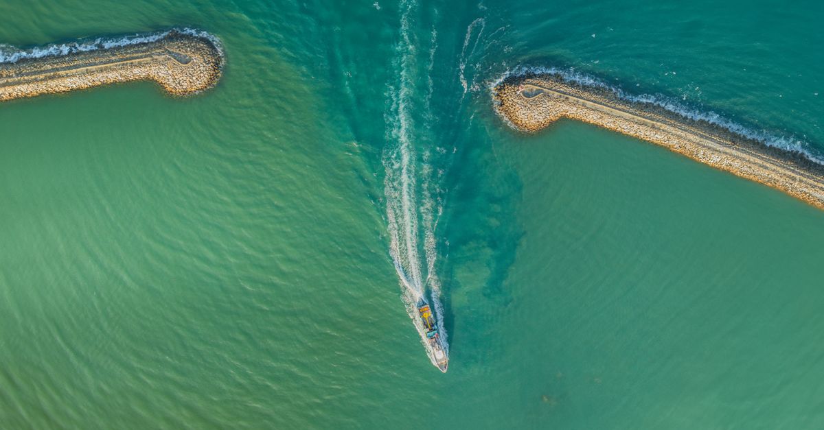 Tartaruga marina Caretta caretta su una spiaggia sabbiosa (3)
