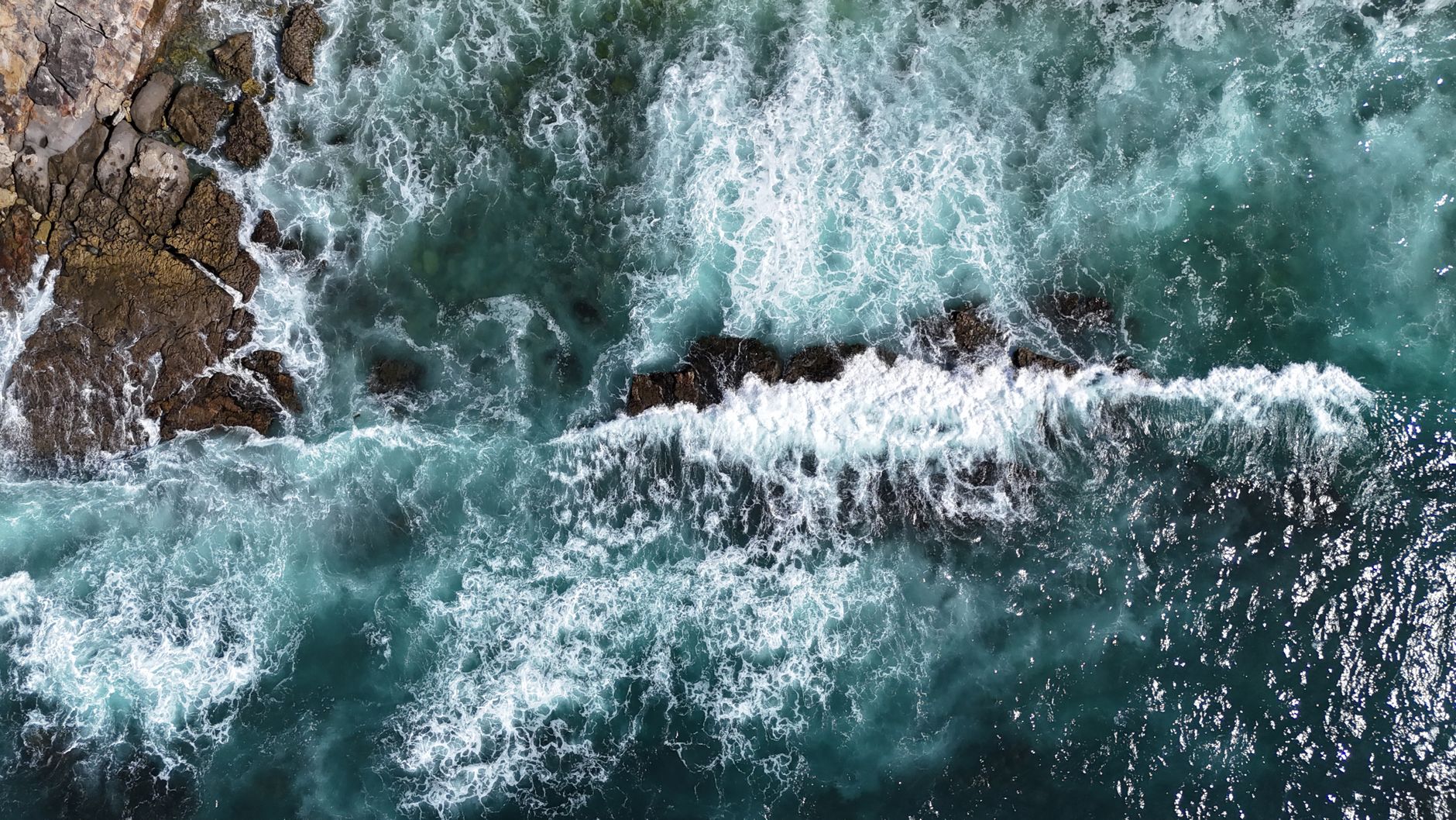 Barriera corallina e vita marina sott'acqua
