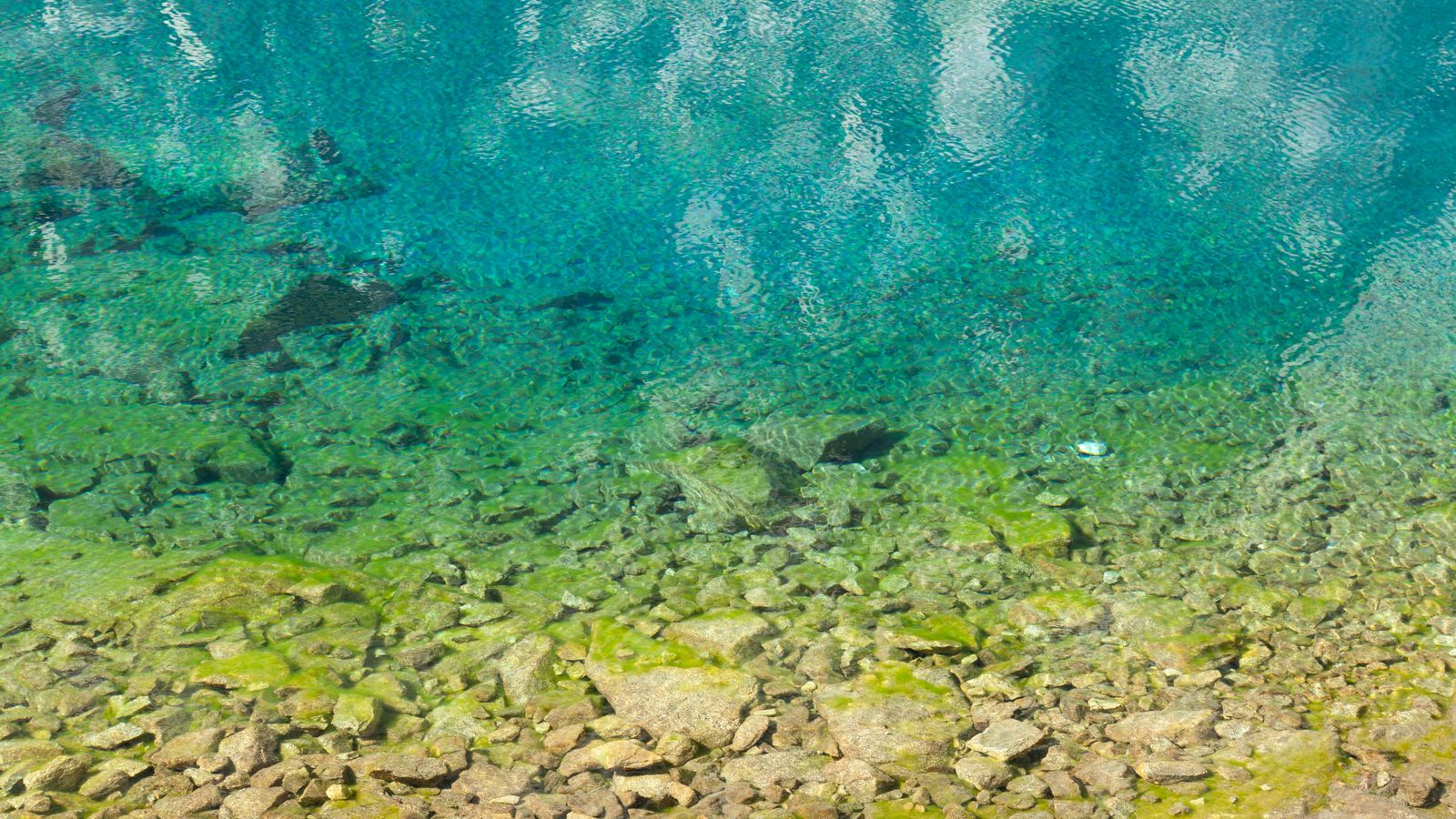 Acqua di lago turchese e trasparente sopra un fondale roccioso