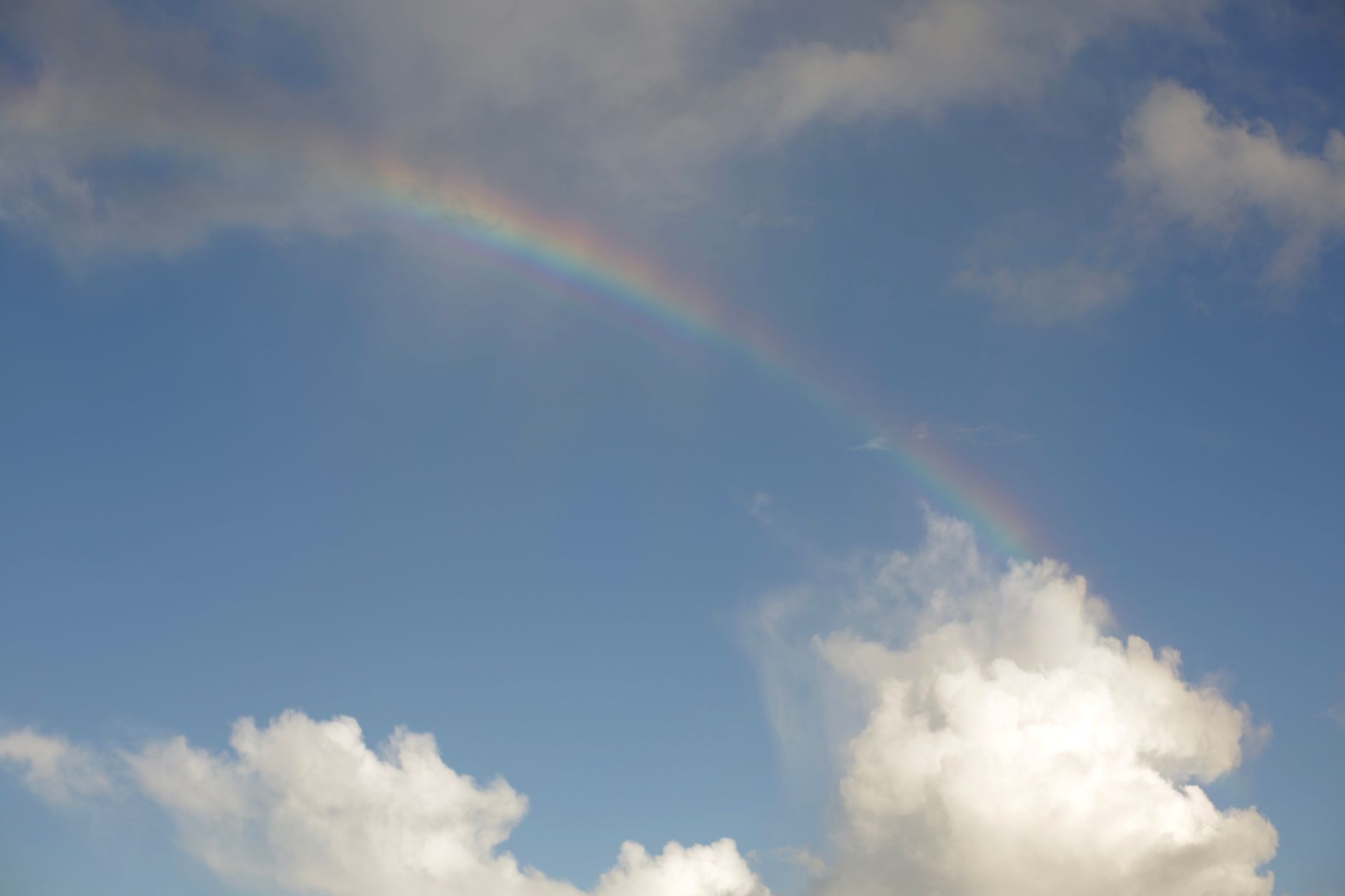 Arcobaleno completo sopra un paesaggio verde dopo la pioggia