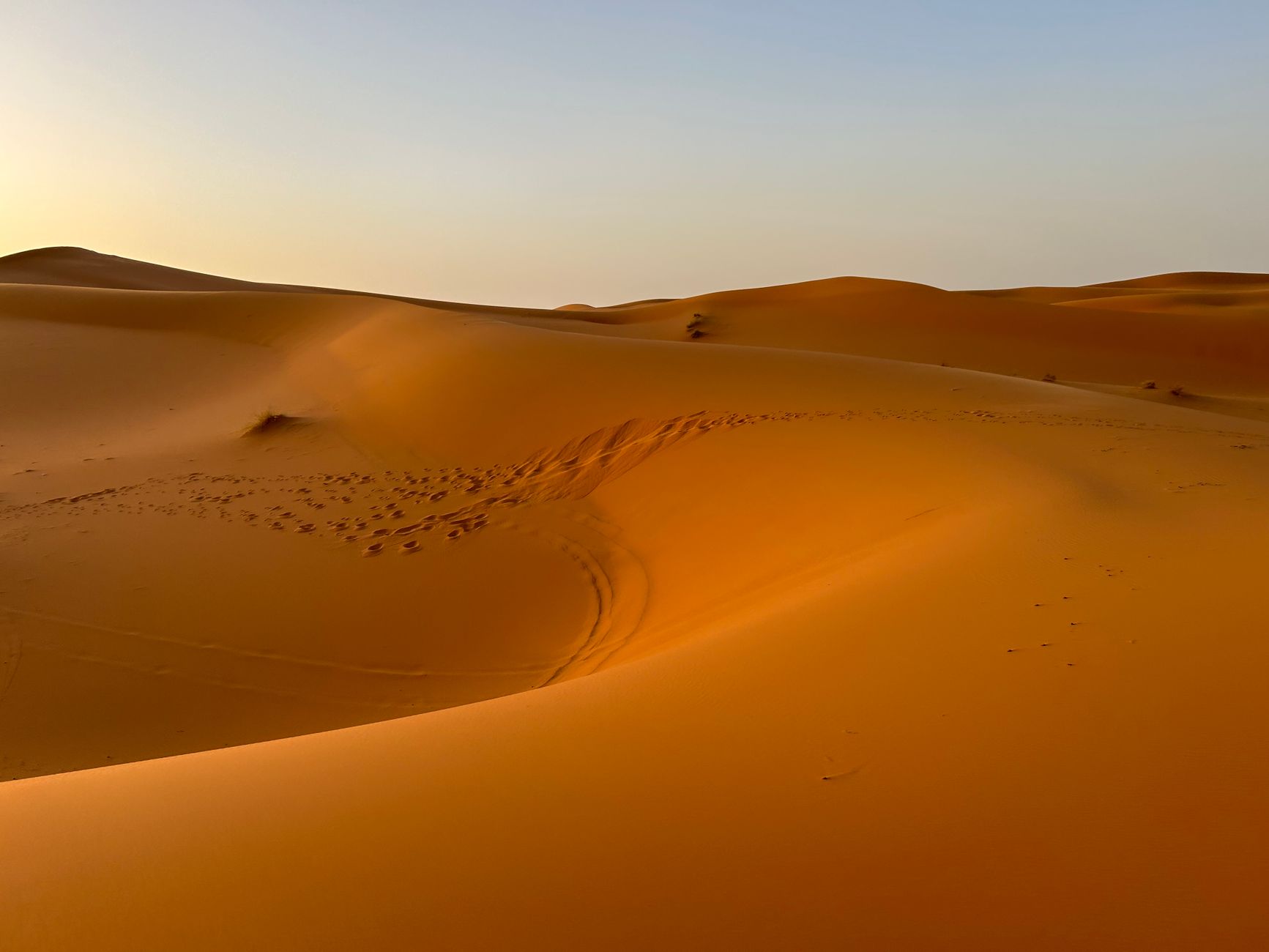 Distesa di dune dorate nel deserto