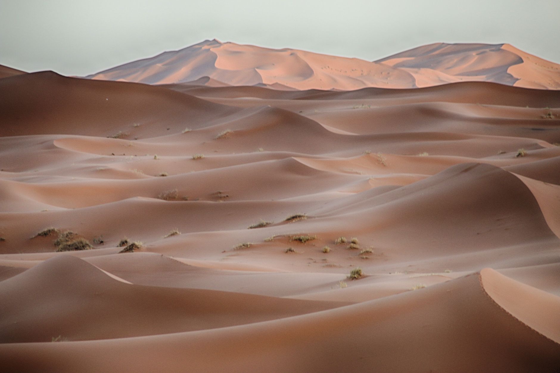 Paesaggio roccioso del deserto del Sahara