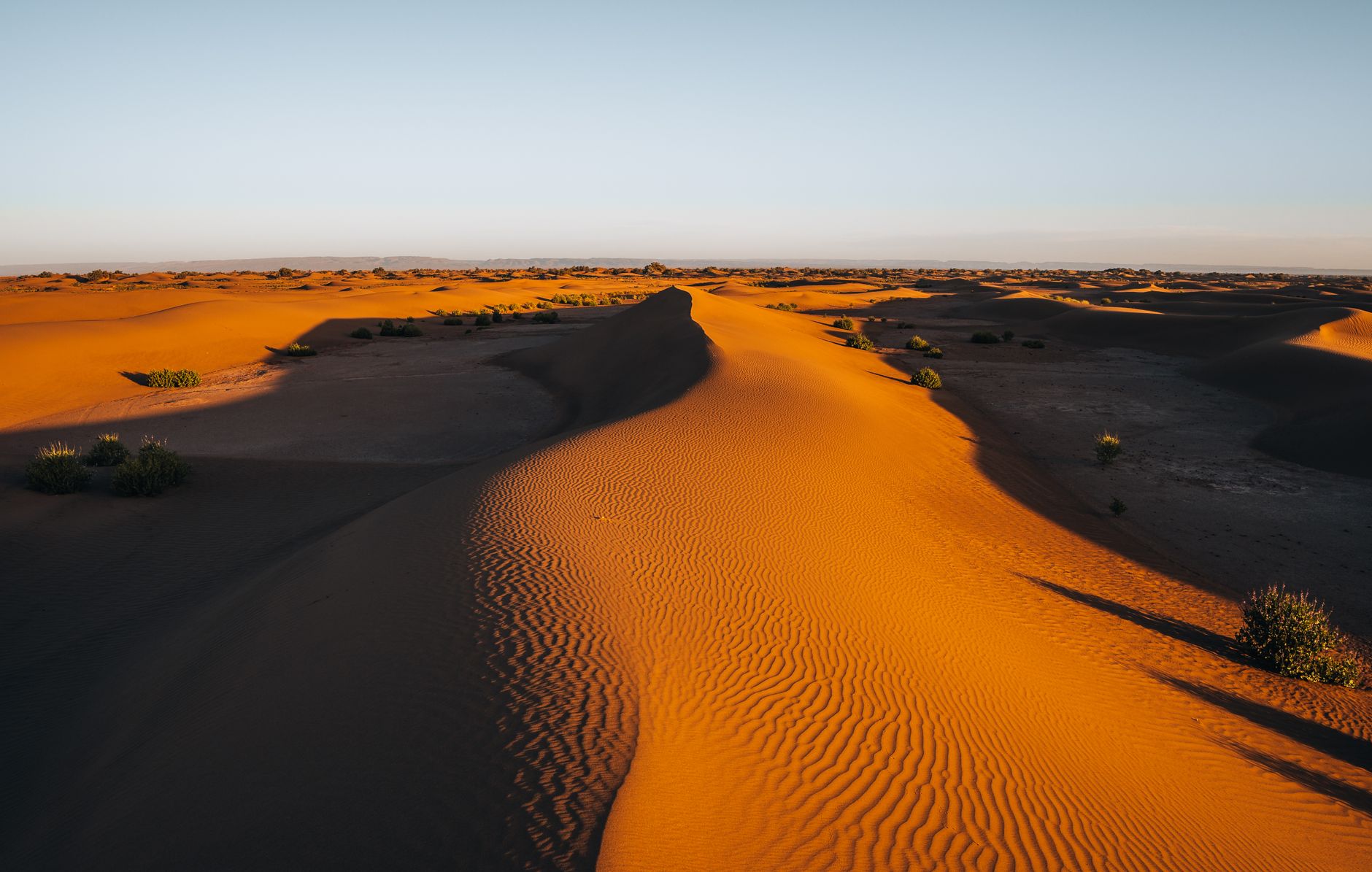 Tramonto sulle dune del Sahara