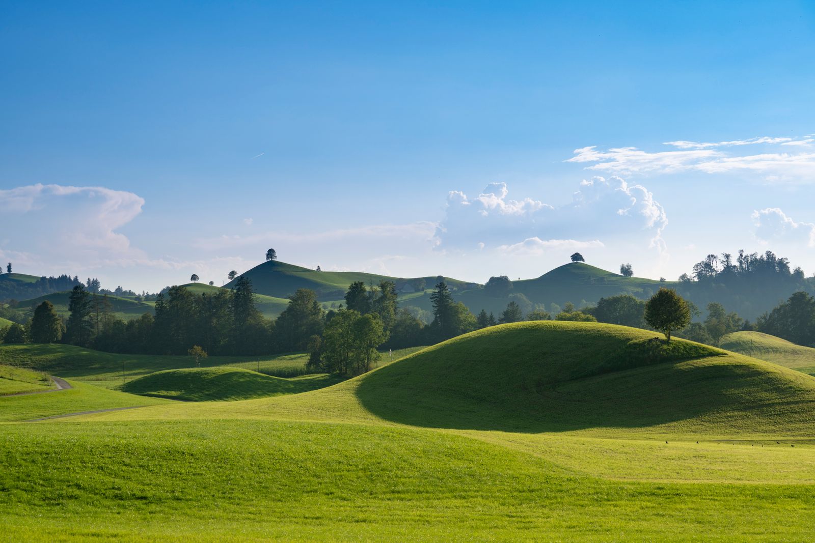 Collina verde ondulata sotto un cielo azzurro con nuvole bianche