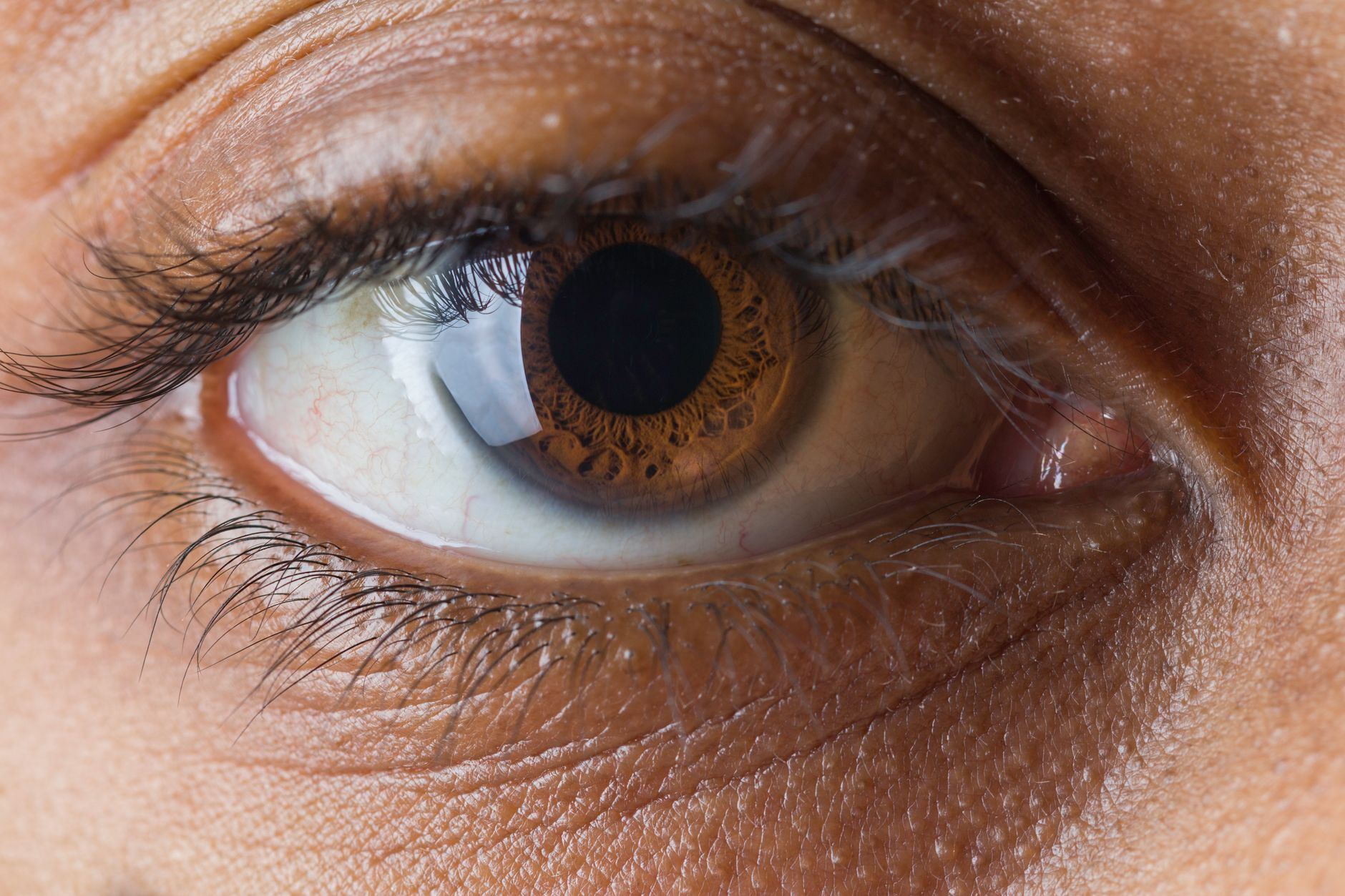 Macro dell'iride che mostra le sfumature del colore