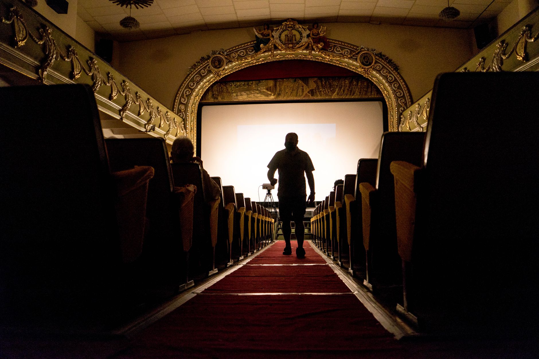 Tappeto rosso e riflettori, simboli della Festa del Cinema di Roma