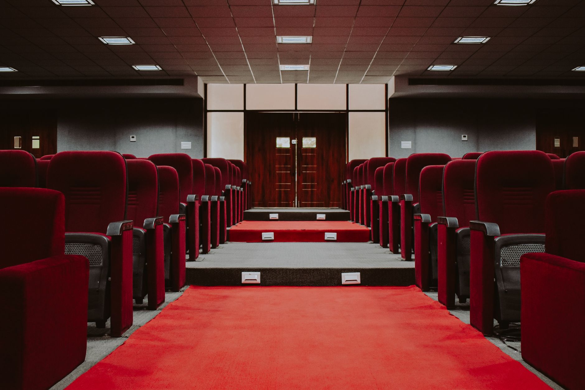Tappeto rosso e riflettori, simboli della Festa del Cinema di Roma