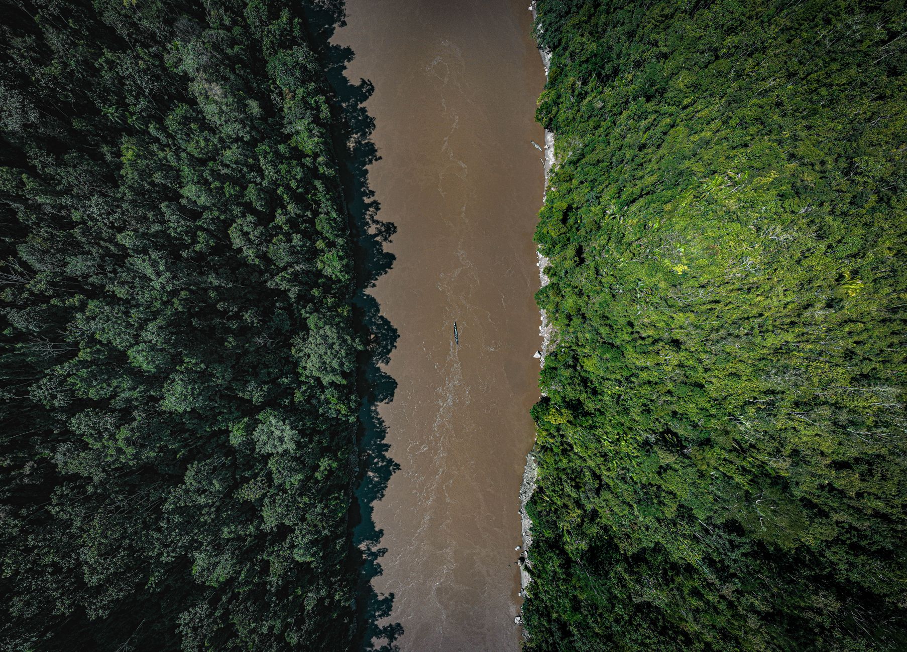 Fiume che attraversa la foresta amazzonica