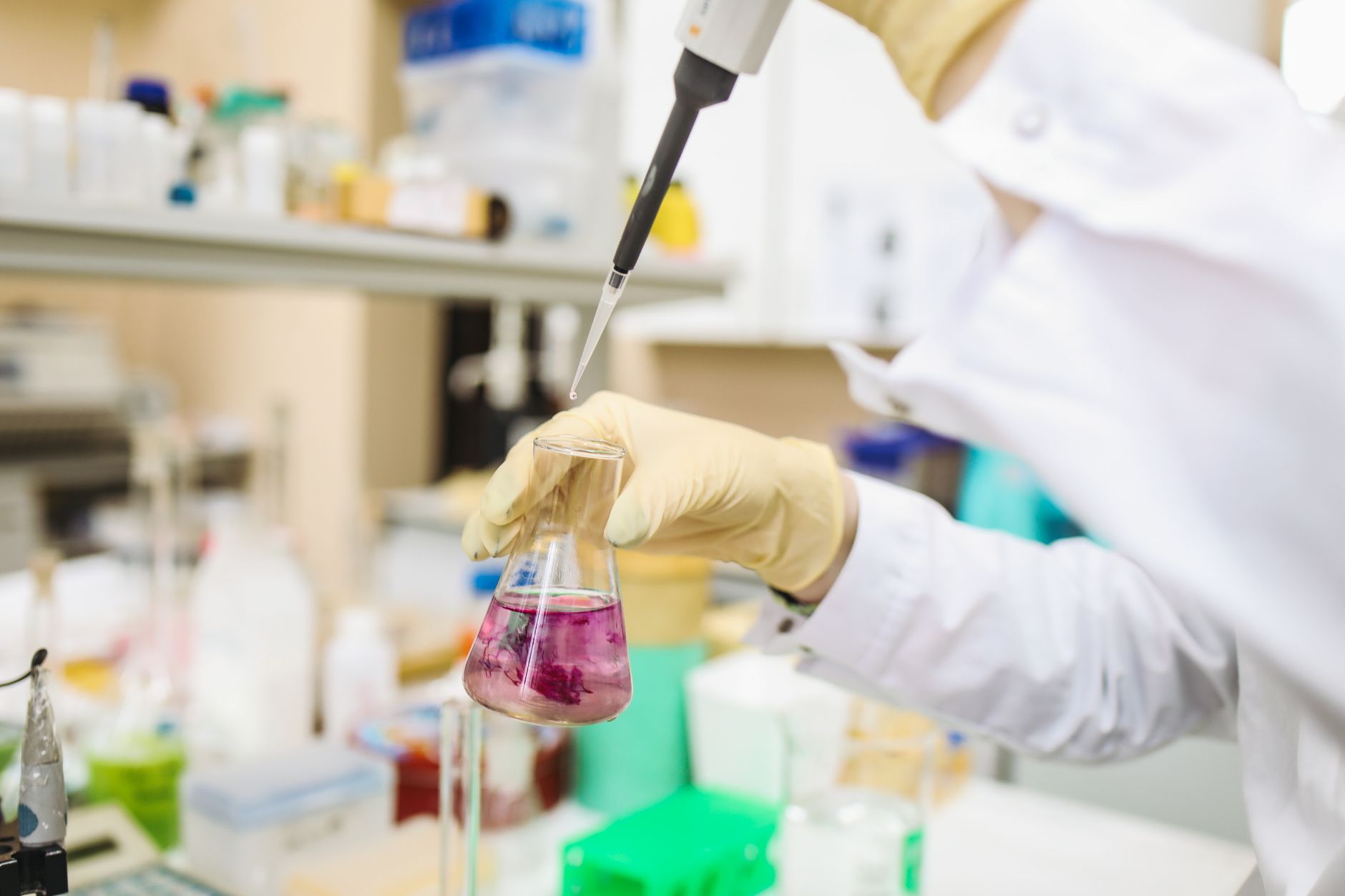 Modello digitale di una catena di DNA