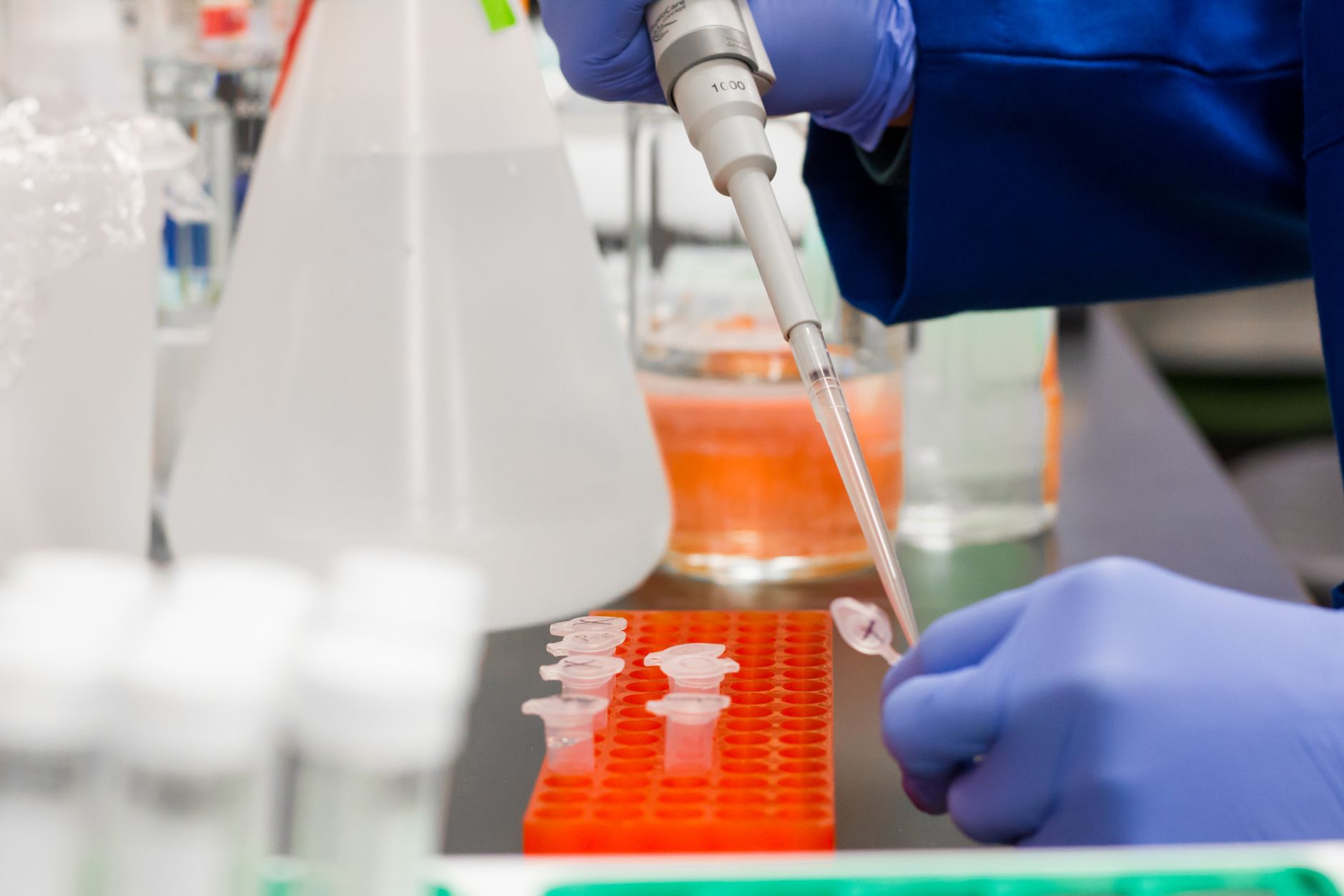Schermo di computer con dati e sequenze genetiche