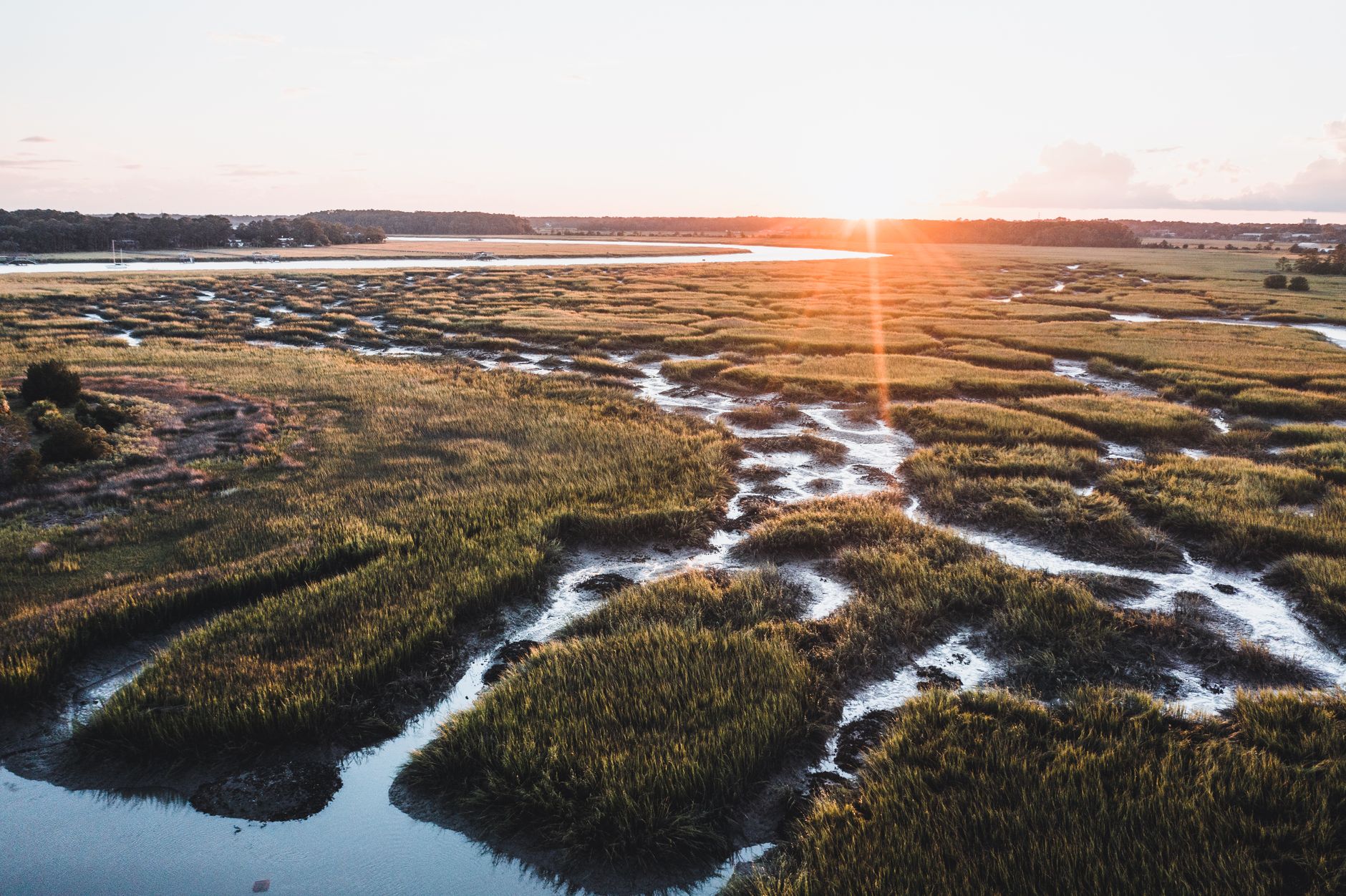 Corso d'acqua dolce con fondale melmoso in ambiente naturale