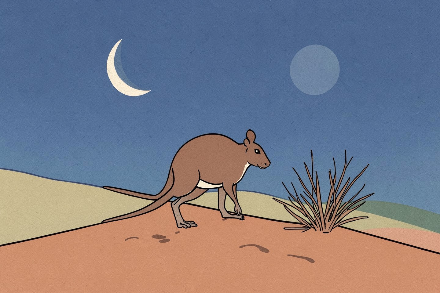 Illustrazione: a kangaroo rat standing on a moonlit desert dune at night, one single moon, a dry shrub, tiny footprints in the sand