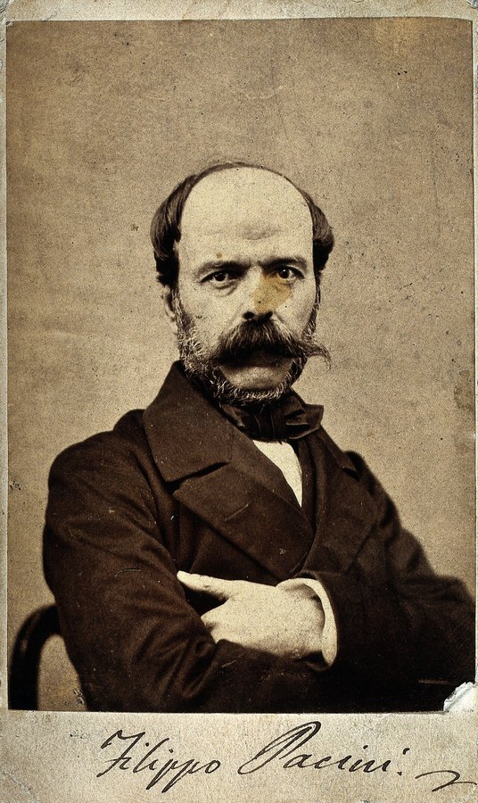 Ritratto fotografico di Filippo Pacini, anatomista pistoiese (1812-1883)