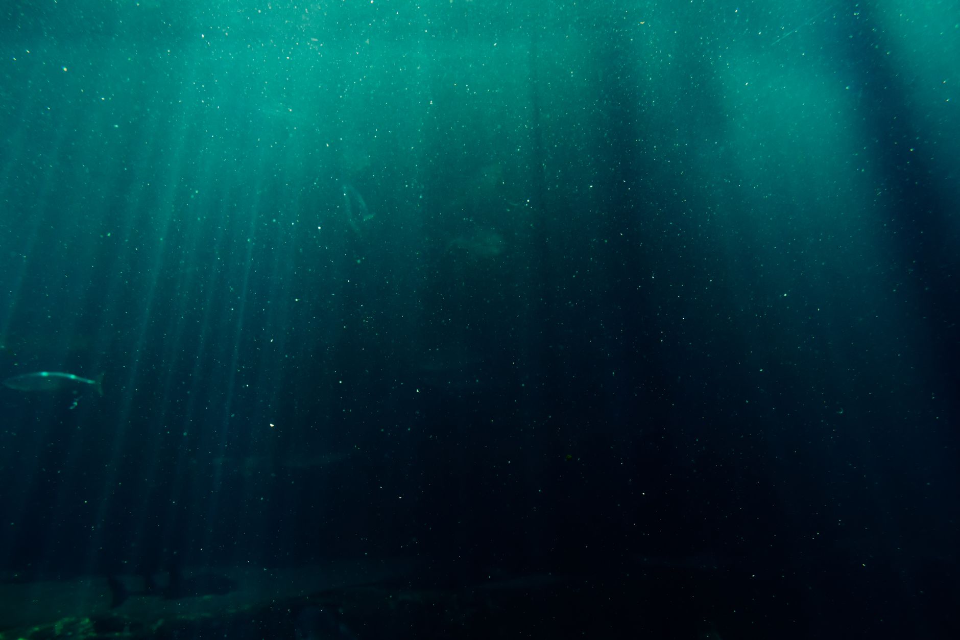 Esplorazione degli abissi oceanici