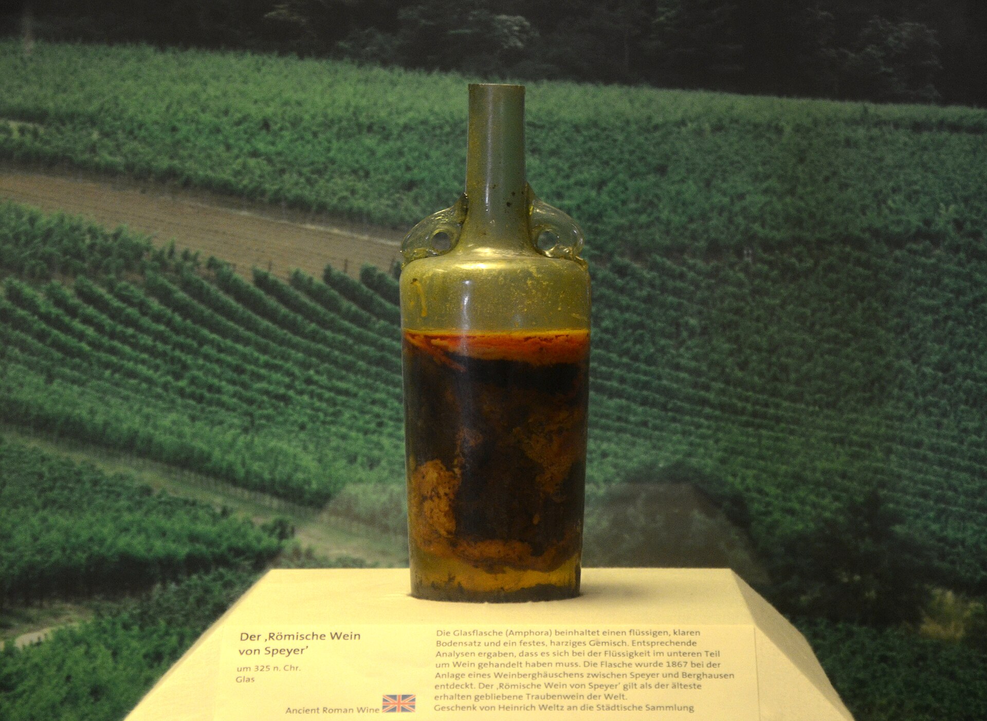 La bottiglia di vetro romana di Spira con due manici a delfino, piena di un liquido scuro e resinoso, esposta in museo