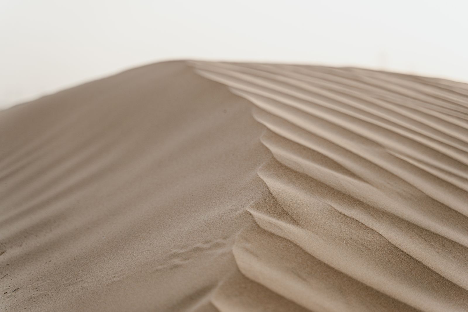 Dune di sabbia nel deserto modellate dal vento
