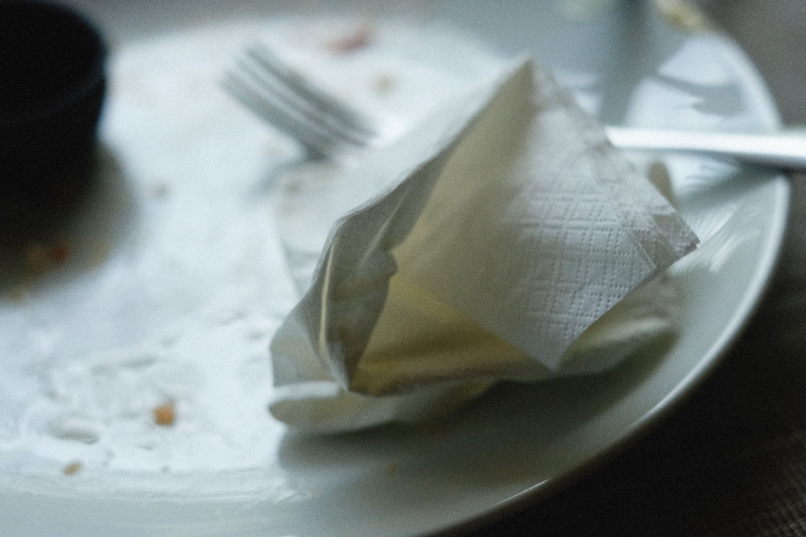 Piatto vuoto con forchetta e tovagliolo dopo un pasto