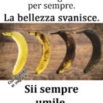 Nessuno è giovane per sempre.
La bellezza svanisce.
Sii sempre umile.