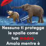 Nessuno ti protegge le spalle come
tua madre.
Amala mentre è ancora in vita.