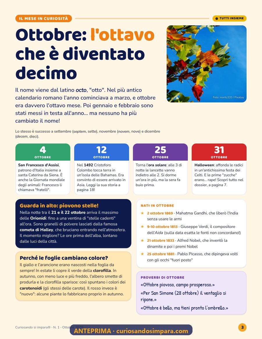 Anteprima pagina 3