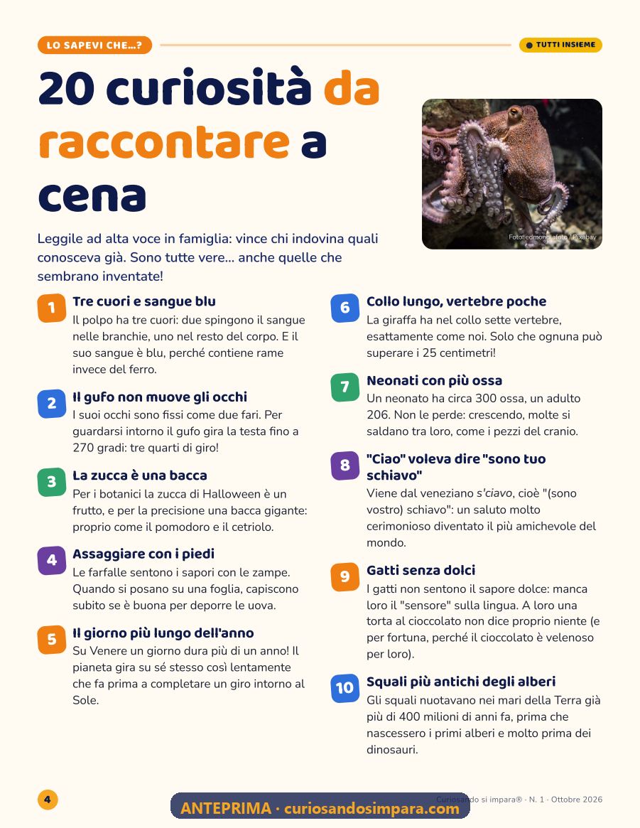 Anteprima pagina 4